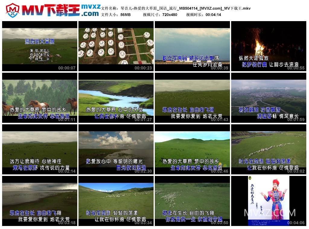 琴音儿-热爱的大草原_国语_流行_MB504114